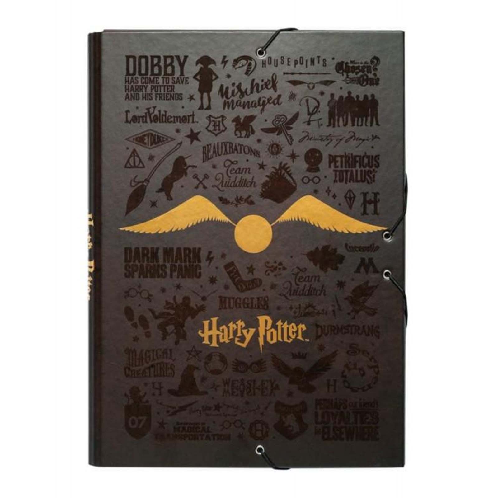 Pahvikansio 24x34cm Golden Snitch