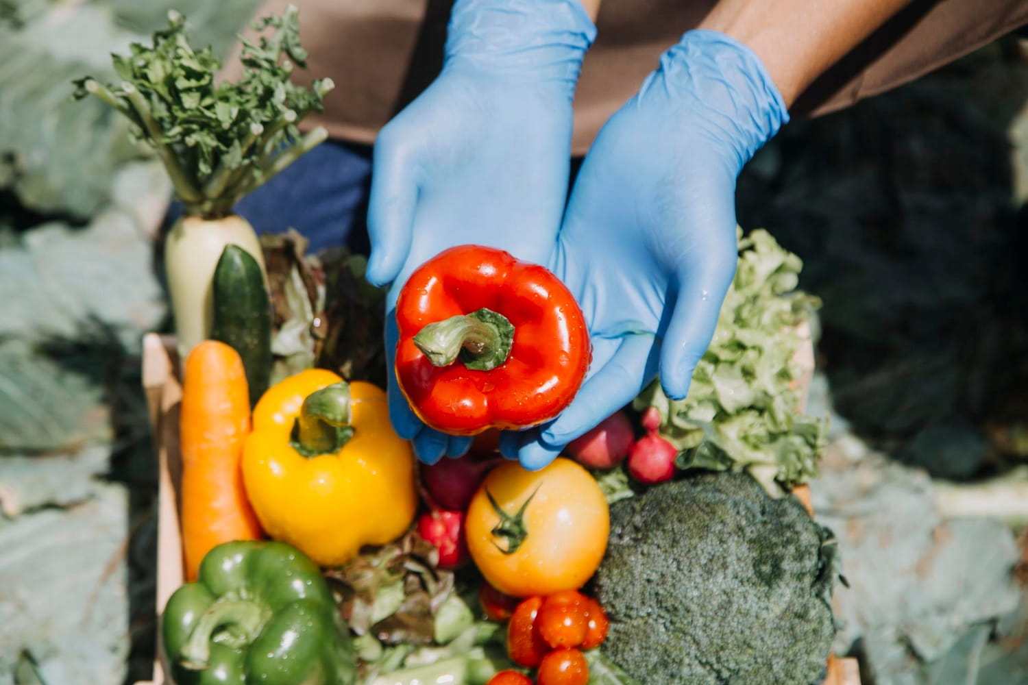 Dolomiittikalsium- ja magnesiumlannoite 20 kg tehokas