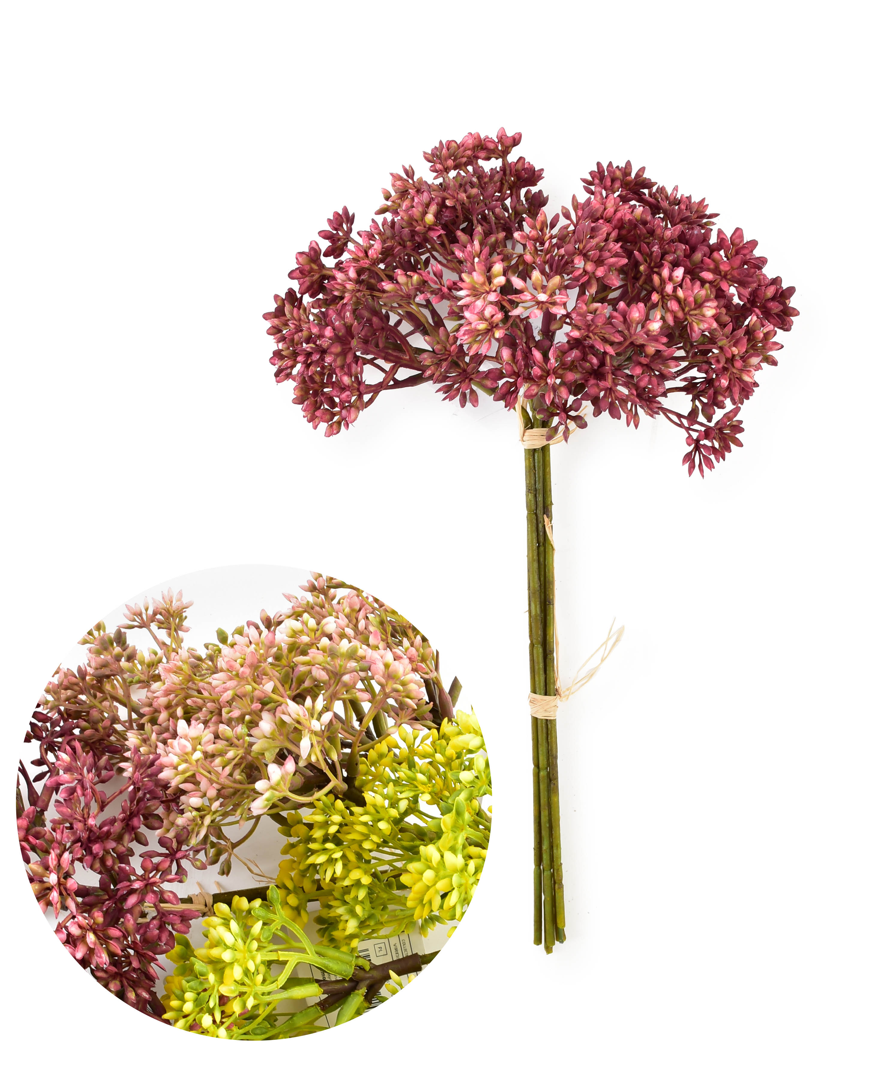 Keinokukka Gypsophila VIRIDIS 30 cm valkoinen 6 kpl