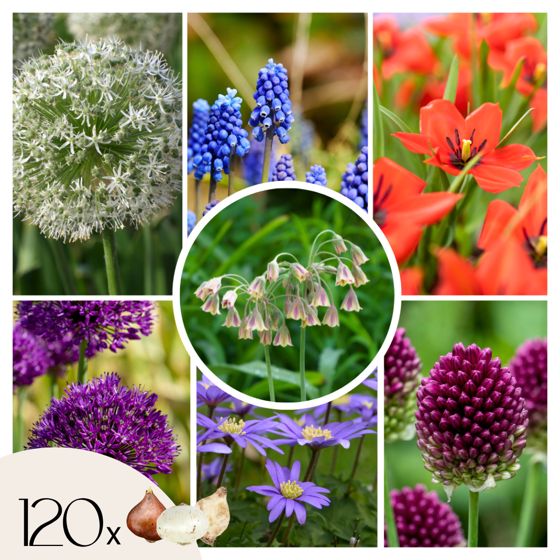 Happy Bee & Butterfly Mix - 120 kpl - Kukkasipulit