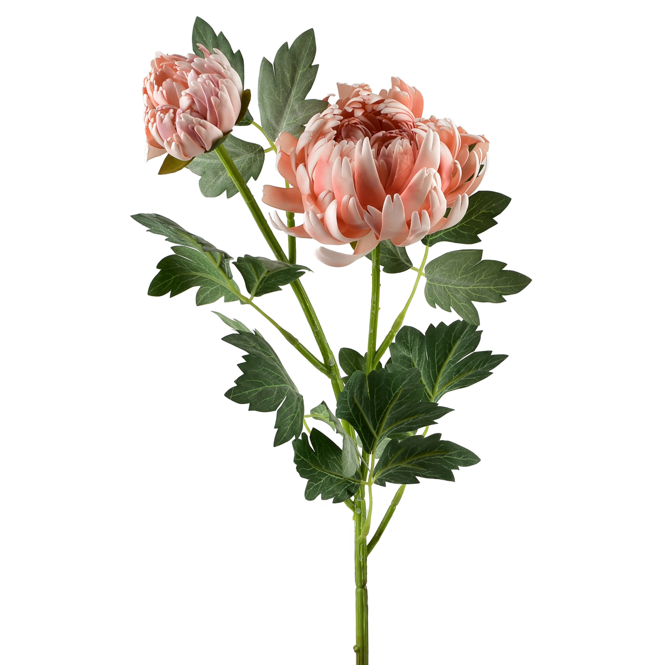 krysanteemi muovi Mondex Viridis 69cm monivärinen 2kpl