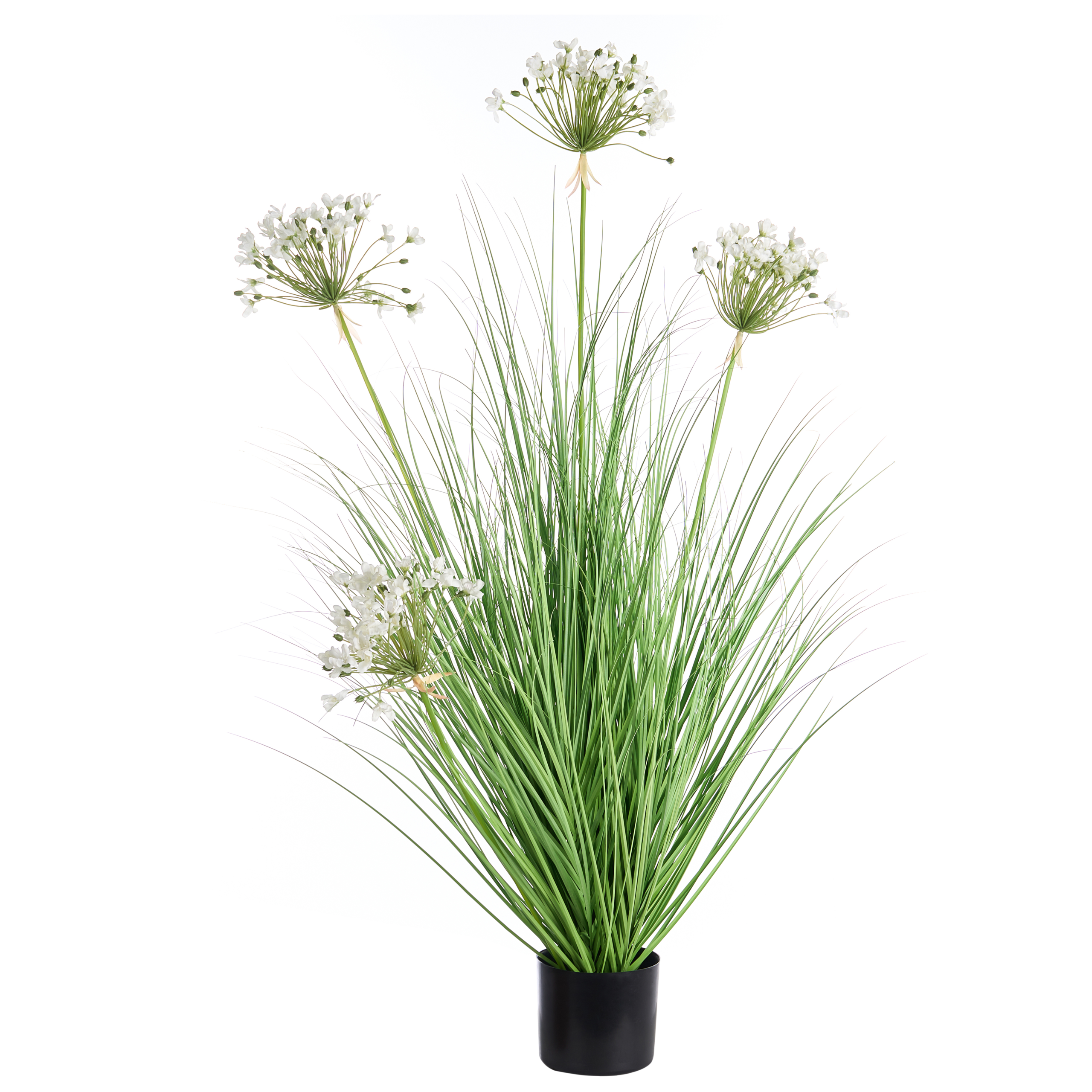 Tekokasvi ONION GRASS 120 cm Valkoinen