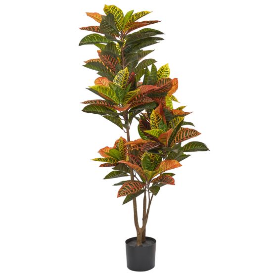 Tekokasvi CODIAEUM 140 cm Vihreä