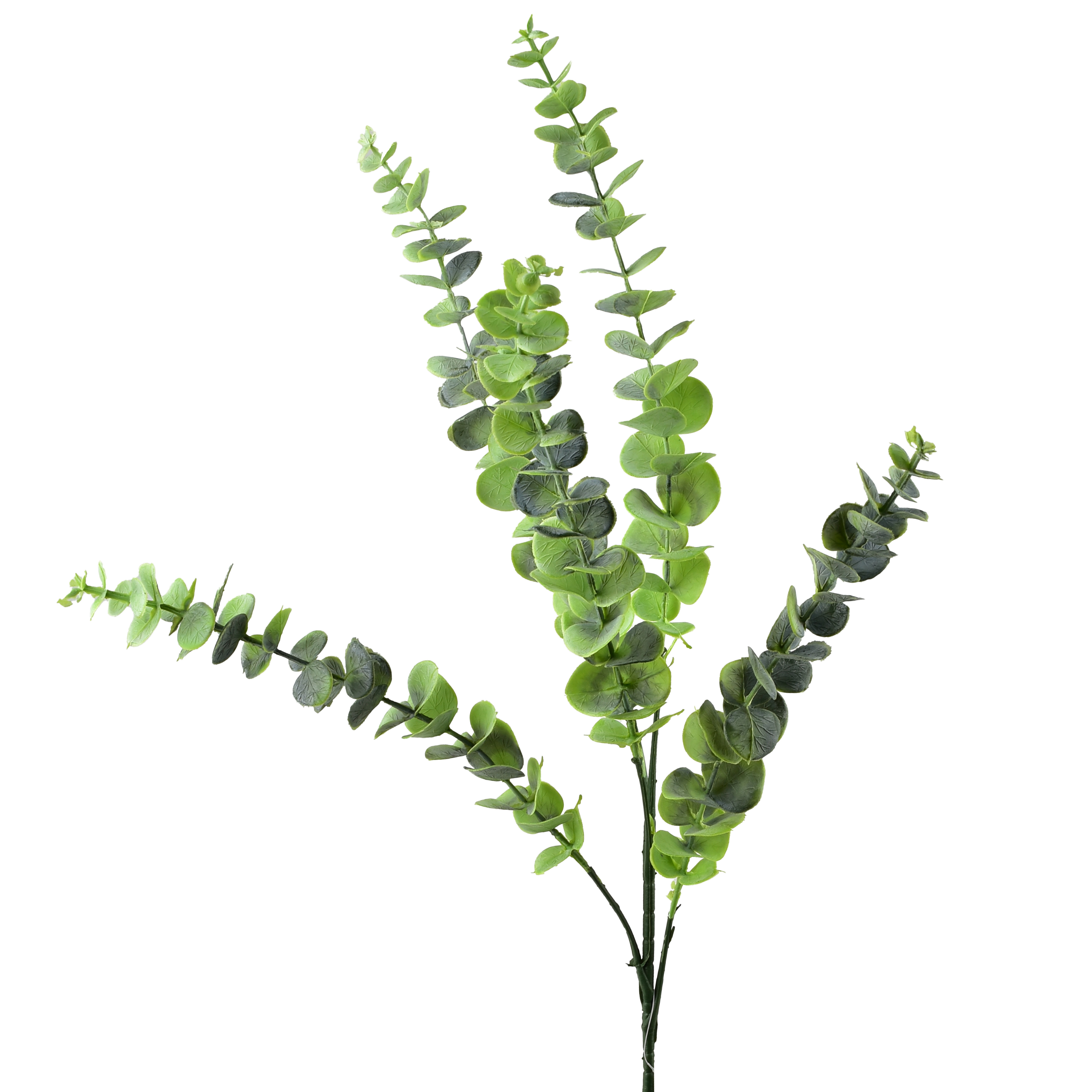 Tekokukka muovi Viridis Eukalyptus 80cm vihreä 1kpl