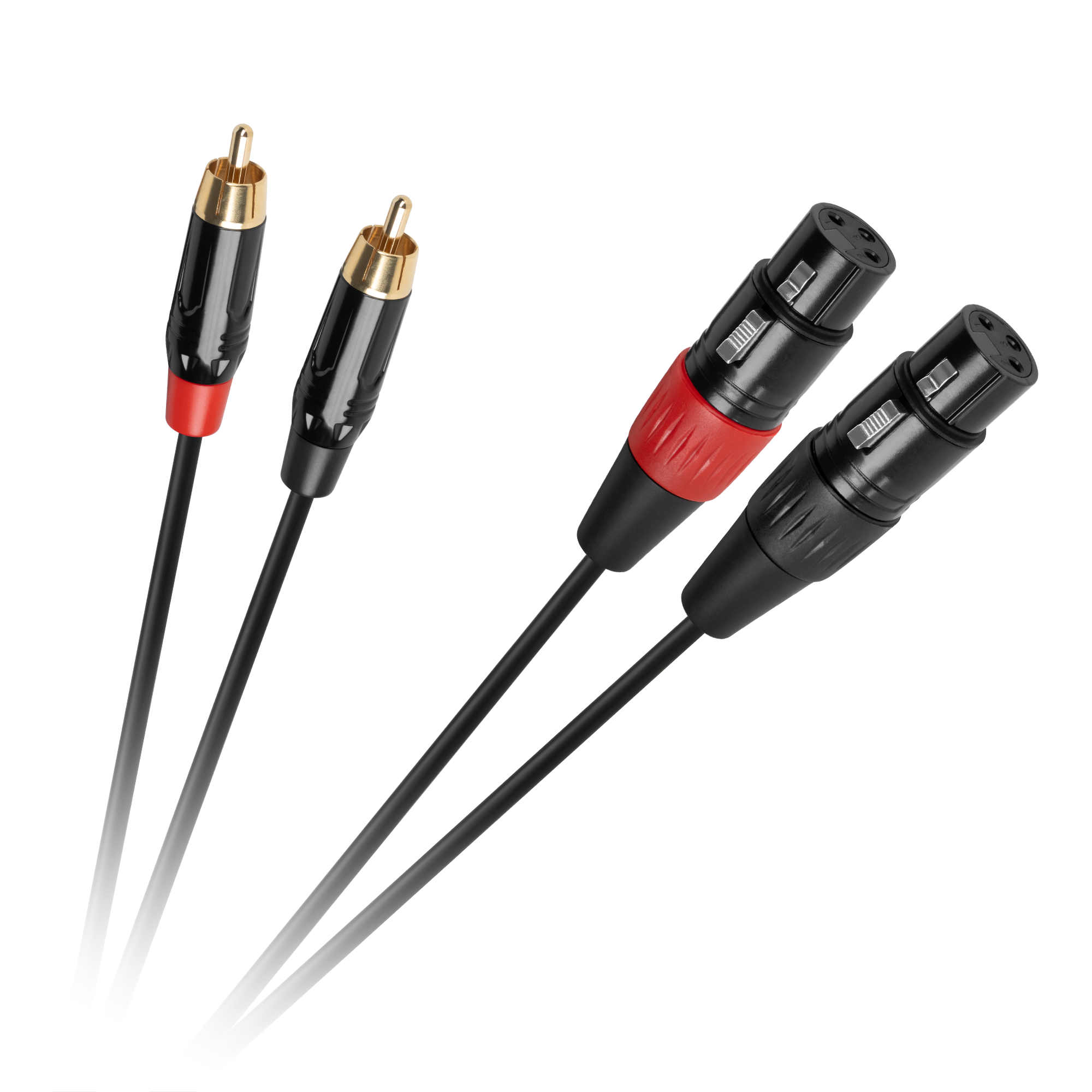 Cabletech XLR - 2RCA -liitäntäkaapeli 1m