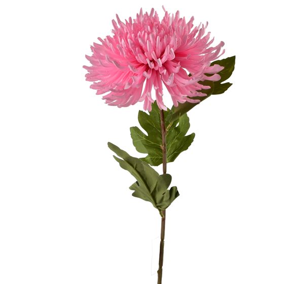 Tekokrysanteemi Viridis 75cm pinkki 1kpl