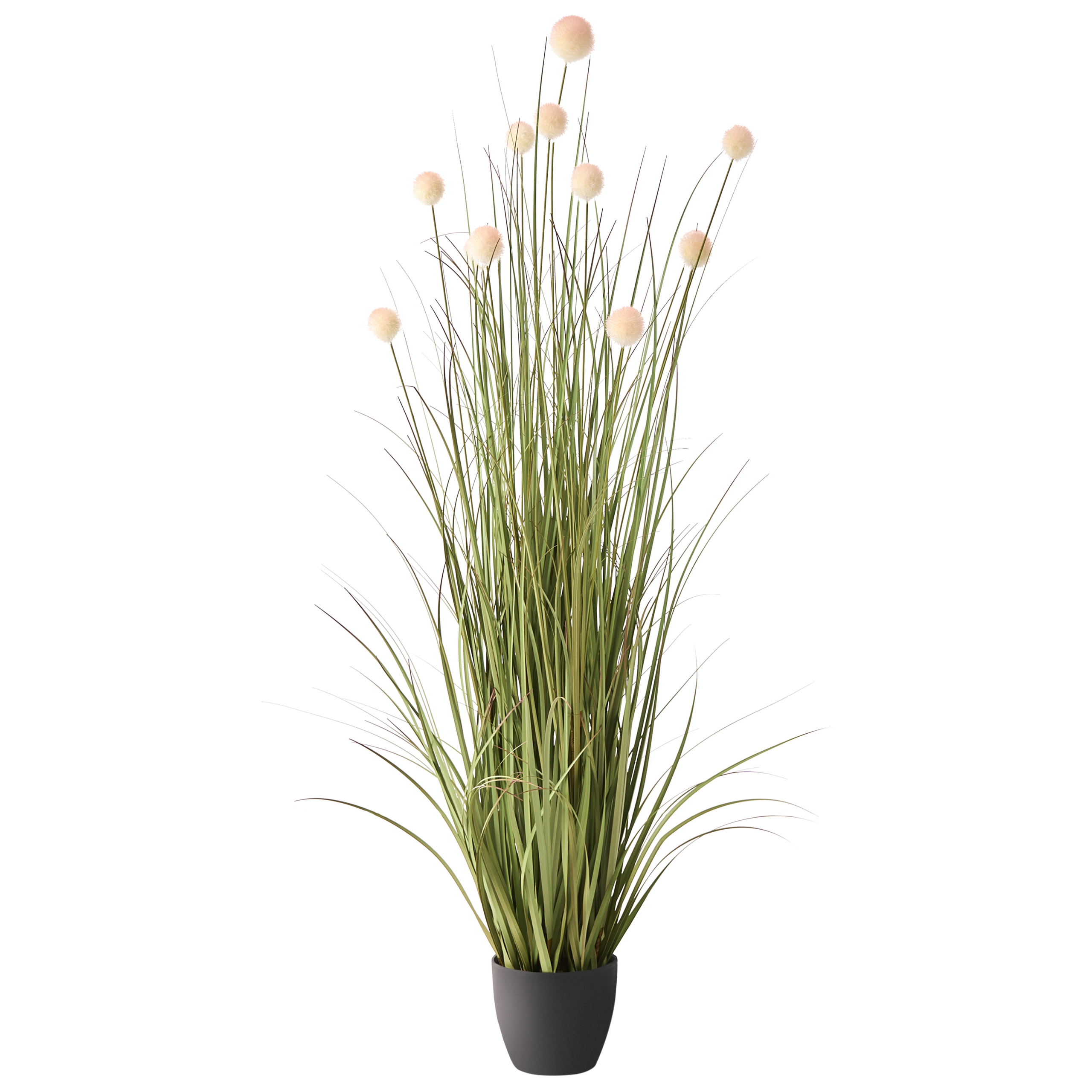 Tekokasvi POMPOM GRASS 120 cm Vihreä