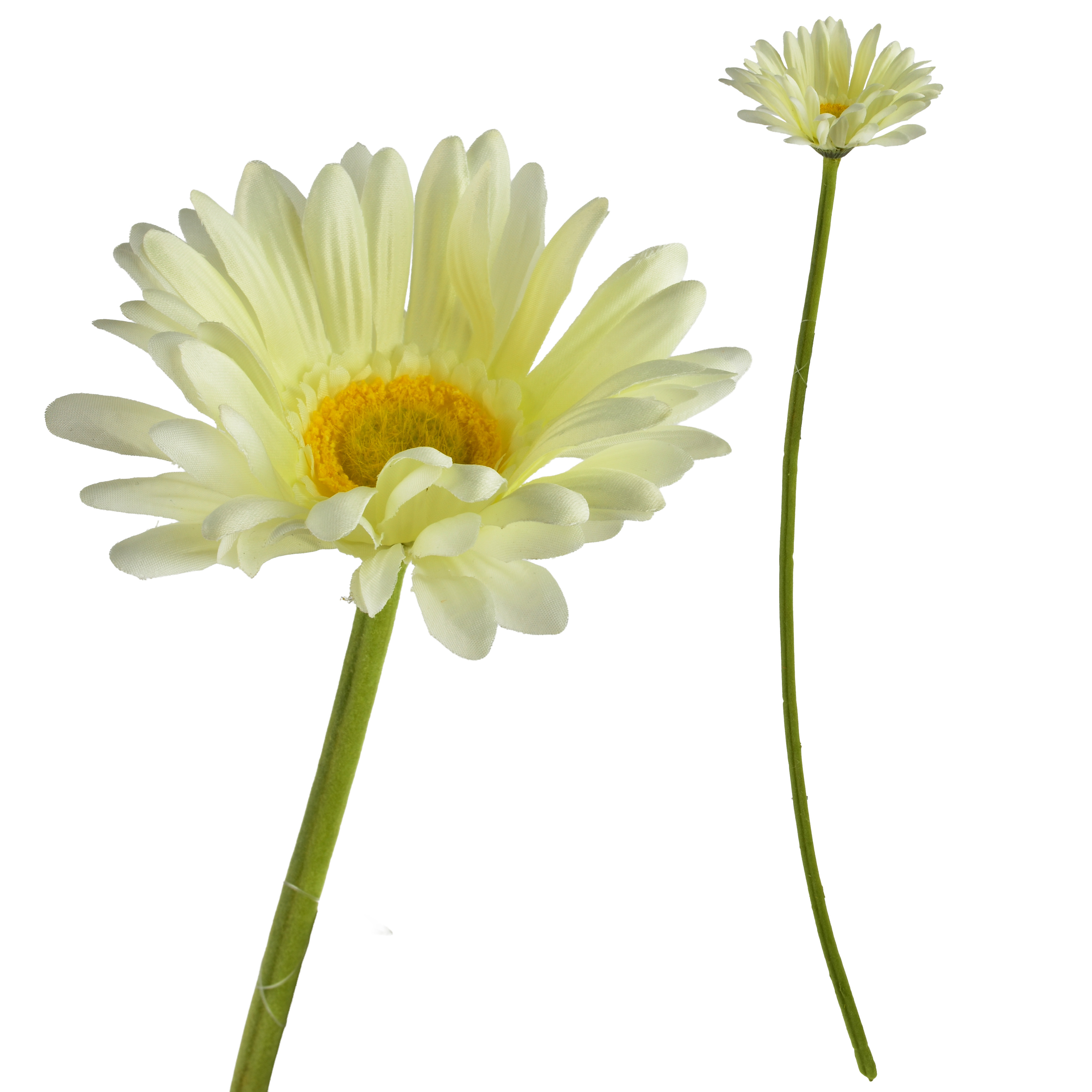 Tekokukka Prima MONDEX Viridis Gerbera 67 cm 1 kpl