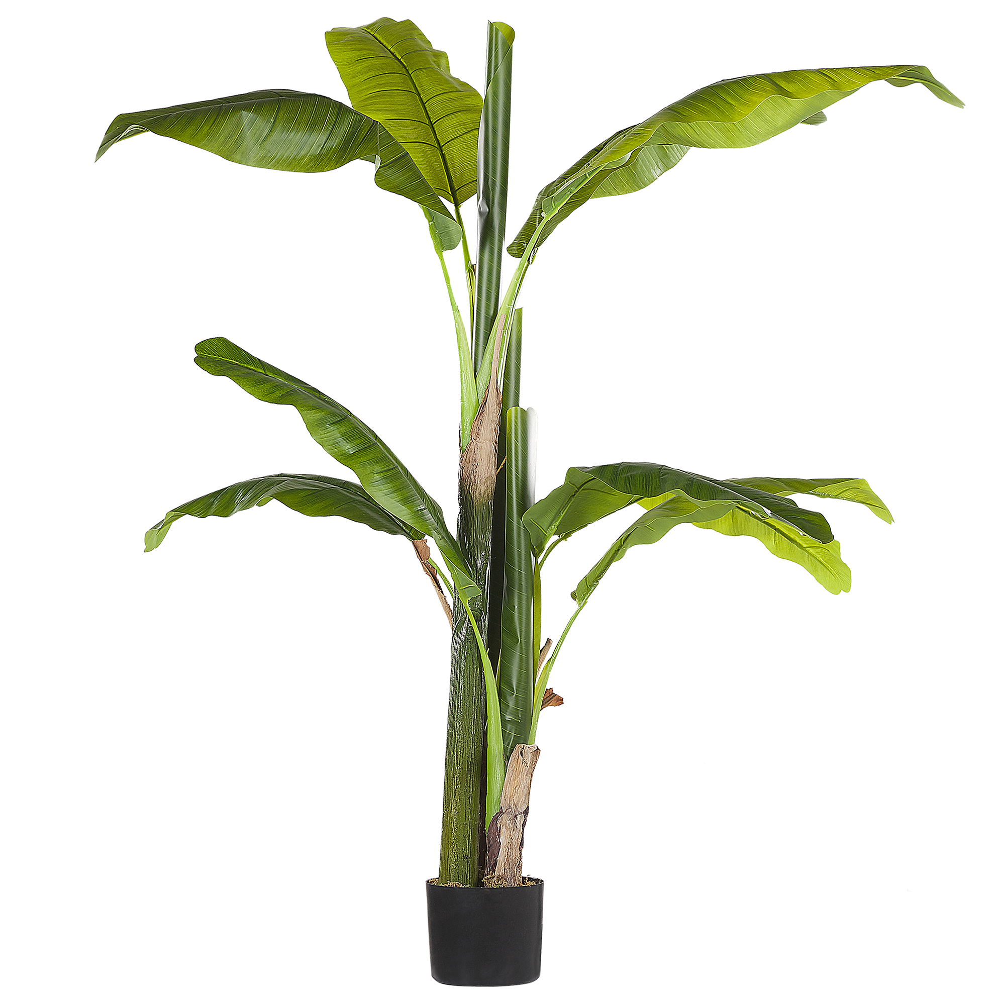 Tekokasvi MUSA TREE 154 cm Vihreä