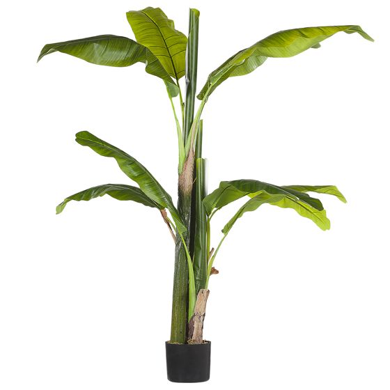 Tekokasvi MUSA TREE 154 cm Vihreä