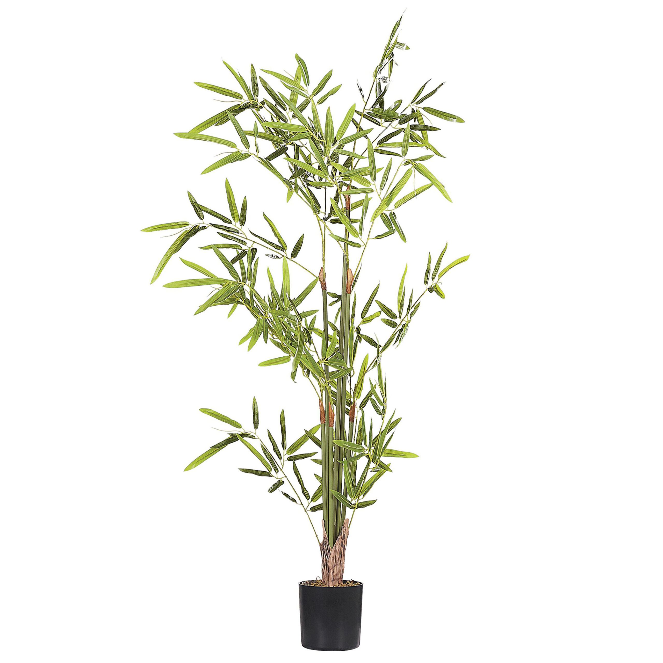 Tekokasvi BAMBUSA VULGARIS 100 cm Vihreä