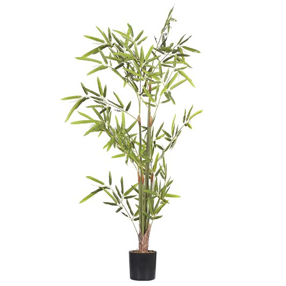 Tekokasvi BAMBUSA VULGARIS 100 cm Vihreä