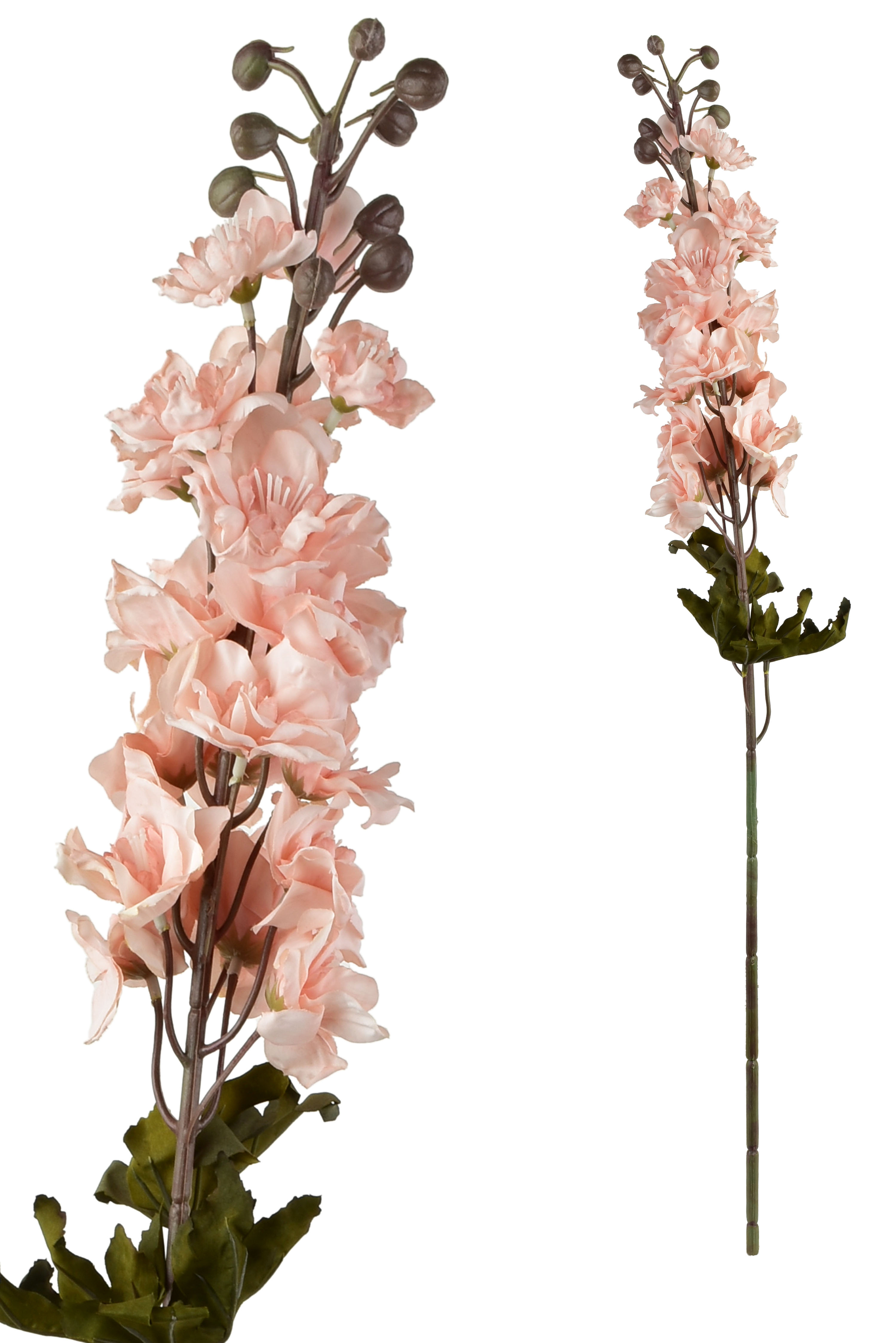 Tekokukka delphinium VIRIDIS AW25 80 cm 1 kpl