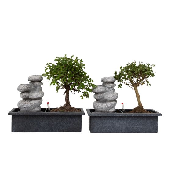 Vesiputous kivet - 2 kpl - Bonsai - Korkeus 25-35cm - ⌀29cm