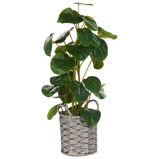 Tekokasvi KIBETI 55 cm Vihreä