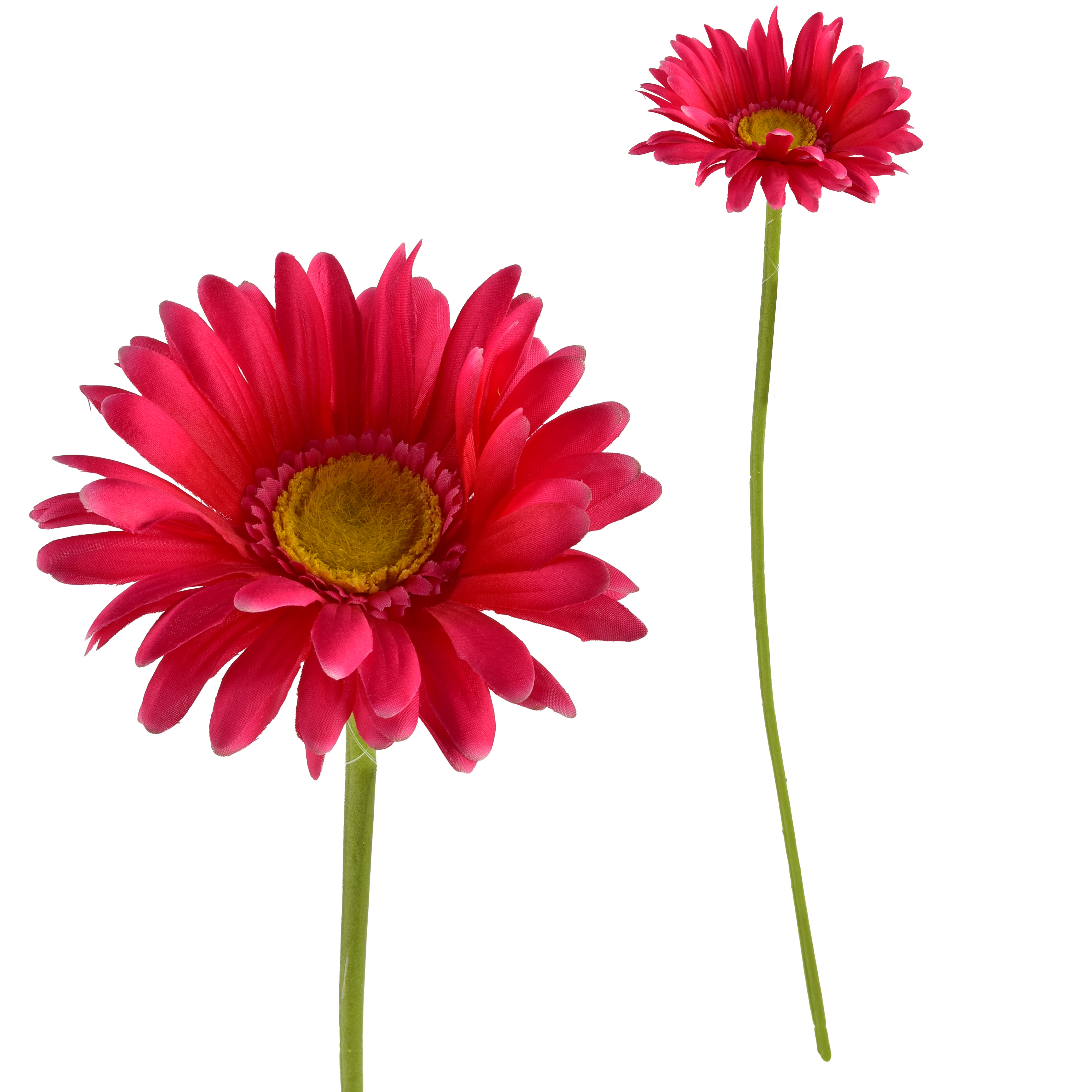 Tekogerbera Prima MONDEX Viridis 67 cm 1 kpl