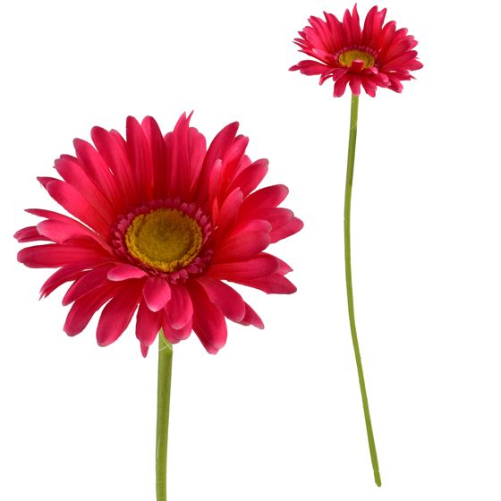 Tekogerbera Prima MONDEX Viridis 67 cm 1 kpl