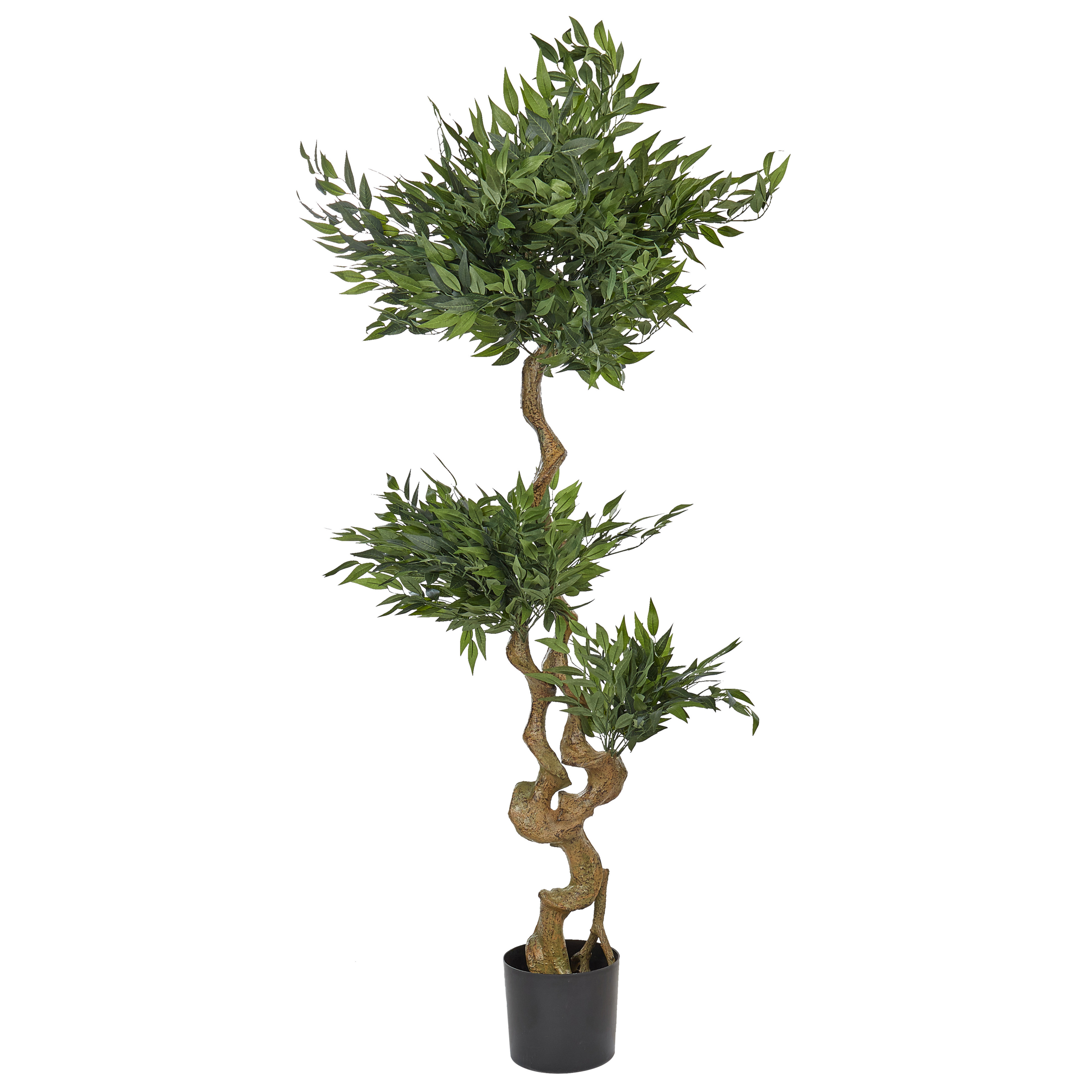 Tekokasvi RUSCUS TREE 166 cm Vihreä
