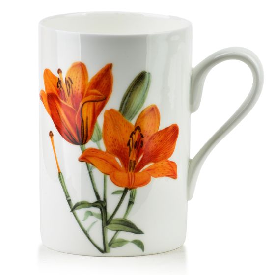 Muki luuposliini Affekdesign Armano 410 ml 7,8x11x11,5 cm valkoinen 1 kpl