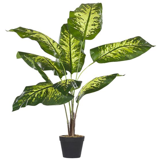Tekokasvi DIEFFENBACHIA 122 cm Vihreä