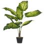 Tekokasvi DIEFFENBACHIA 122 cm Vihreä