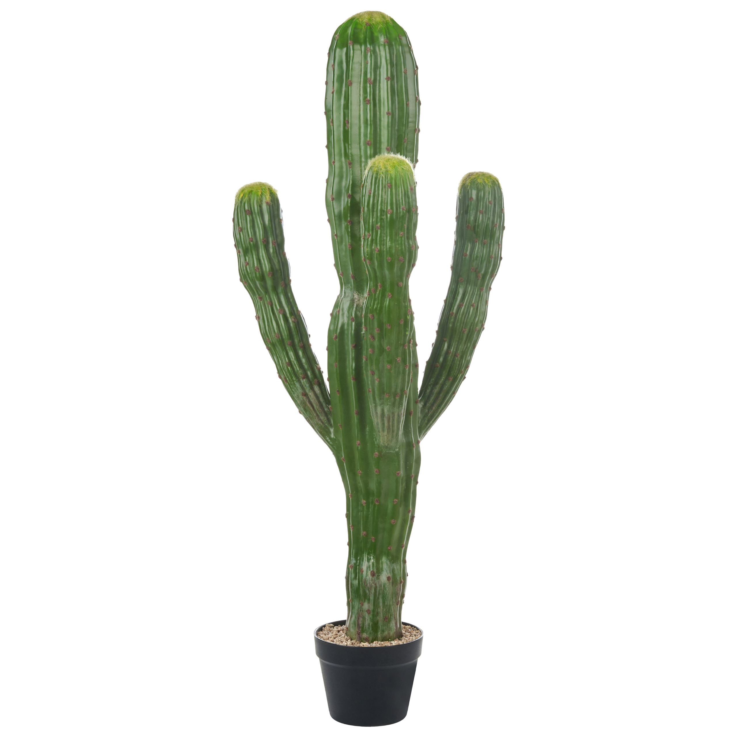 Tekokasvi MAROCCO CEREUS 115 cm Vihreä