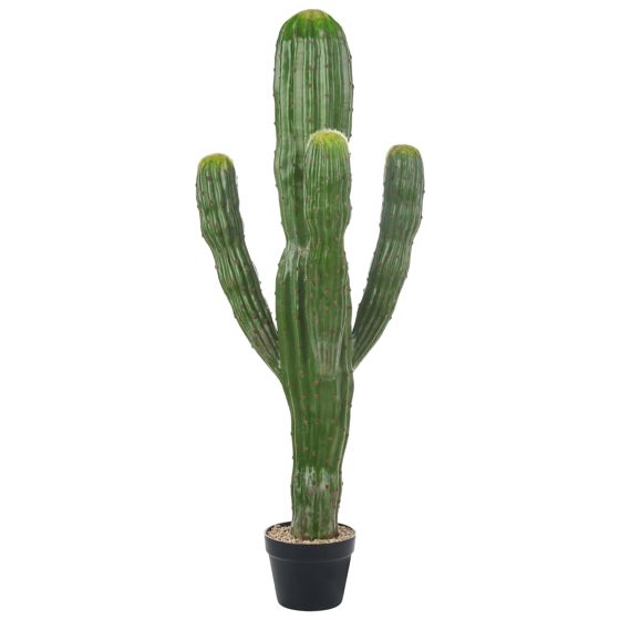 Tekokasvi MAROCCO CEREUS 115 cm Vihreä