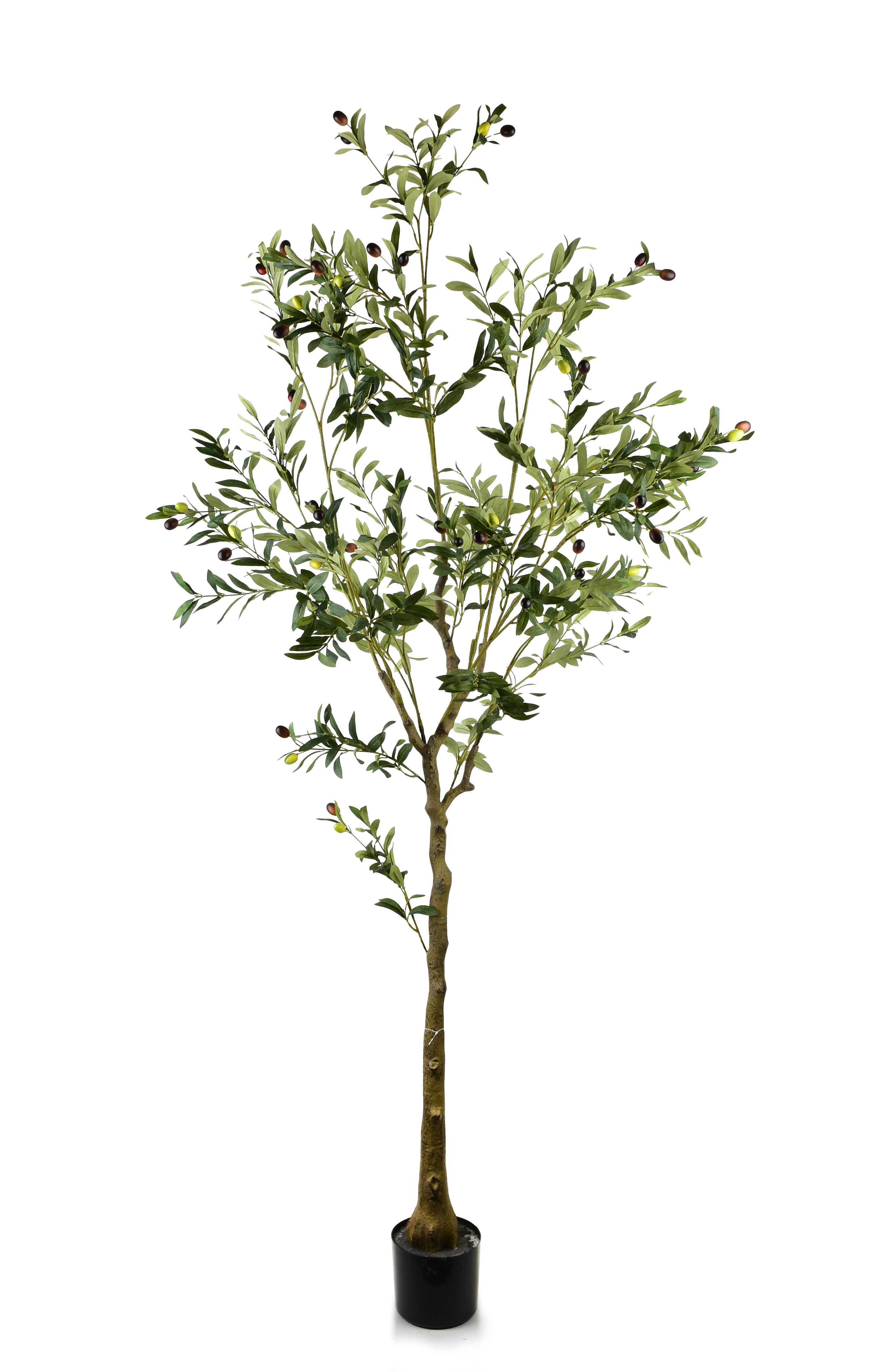 Tekokasvi Prima OLIVES Oliivipuu 180 cm vihreä 1 kpl