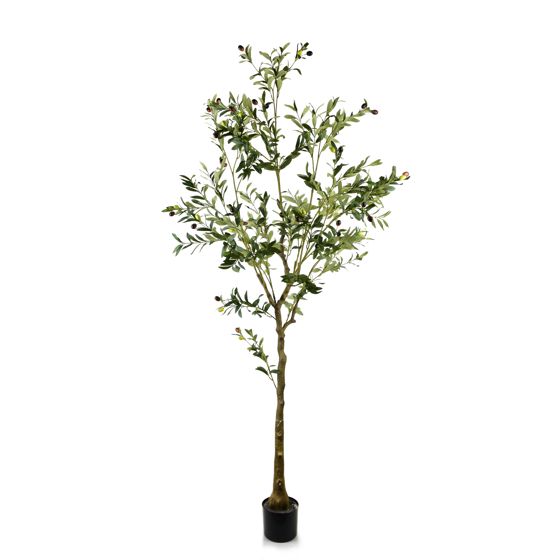 Tekokasvi Prima OLIVES Oliivipuu 180 cm vihreä 1 kpl