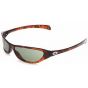 Adidas Originals Shibuya Ku Brown Tortoise