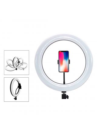 Snapsy Ring Light 10
