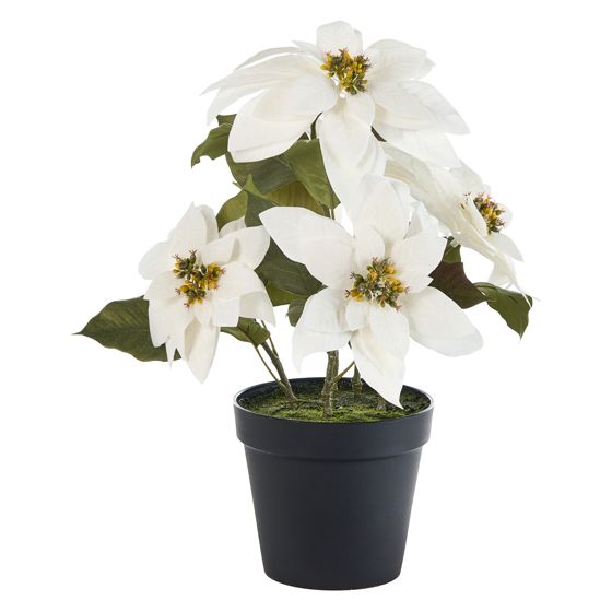 Tekokasvi CHRISTMAS FLOWER 61 cm Valkoinen