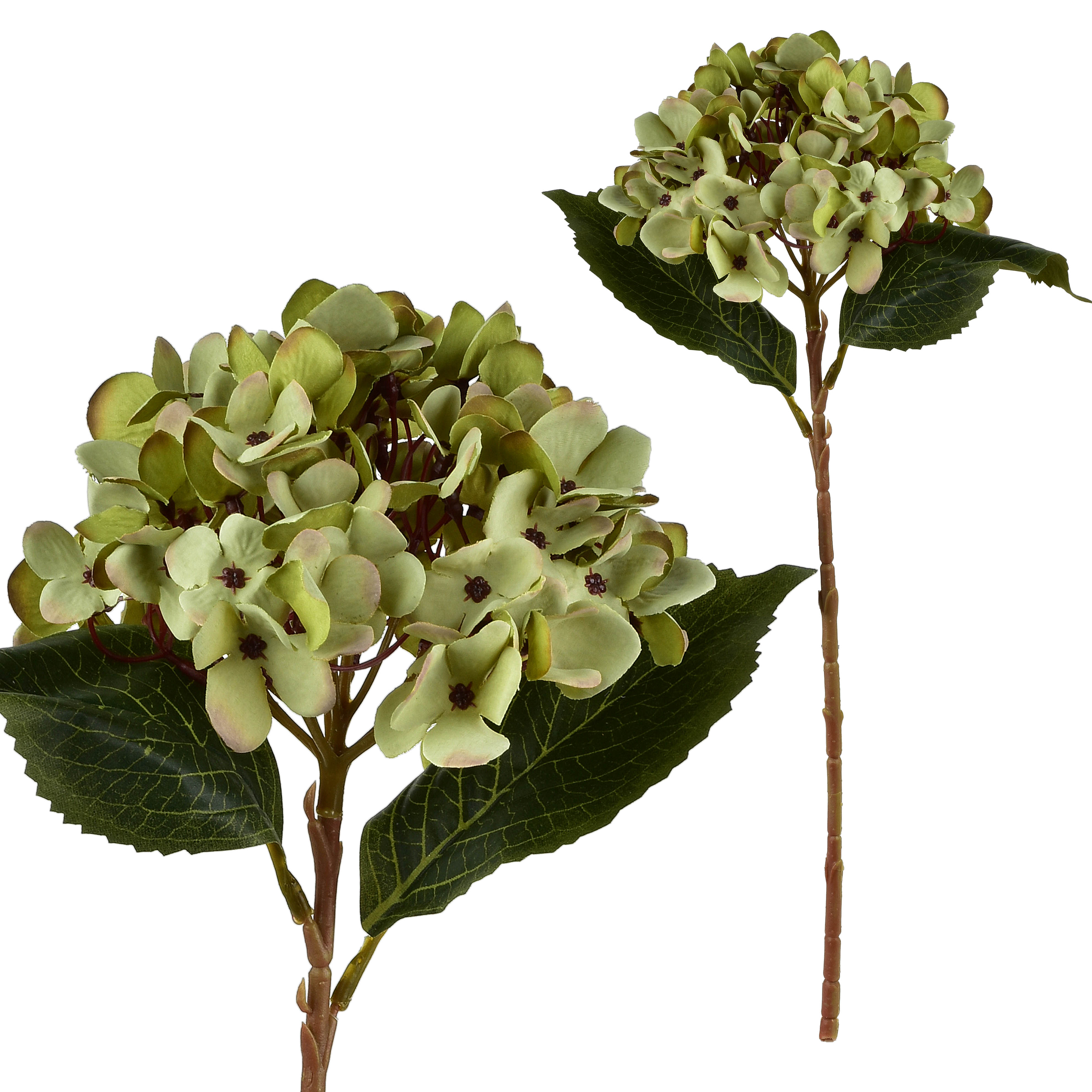 Tekokukka hortensia VIRIDIS 47 cm