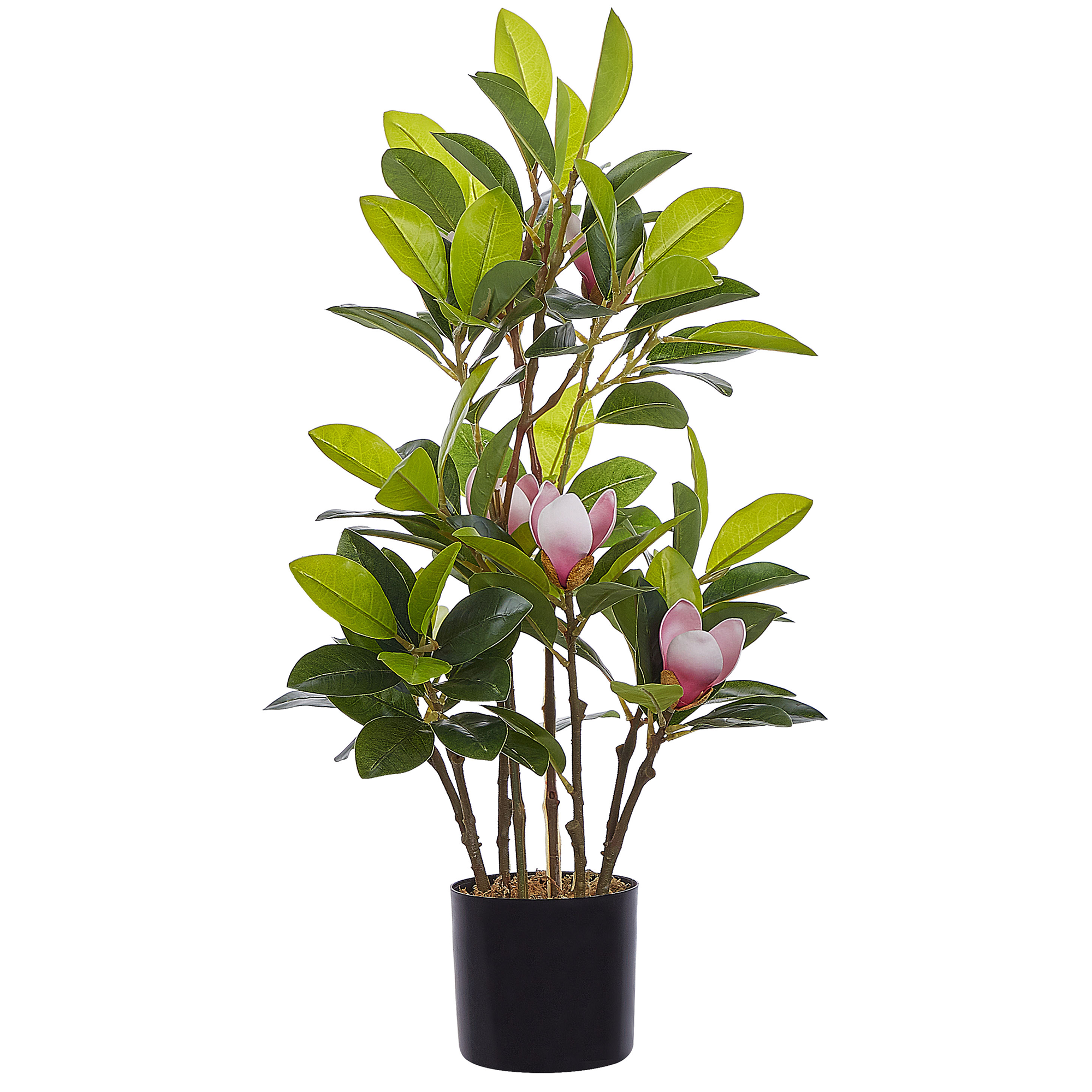 Tekokasvi MAGNOLIA 70 cm Vihreä