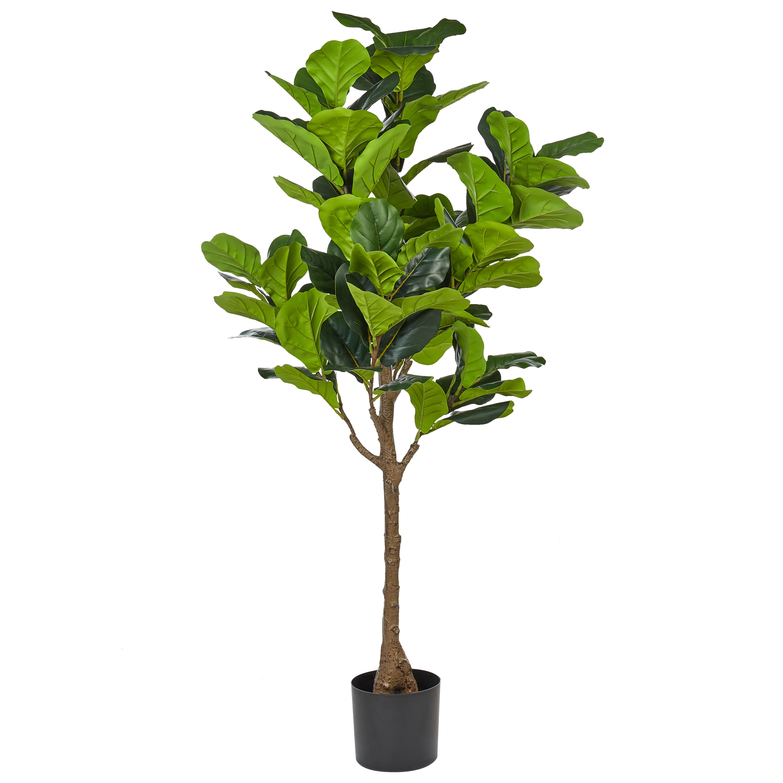 Tekokasvi FIG TREE 162 cm Vihreä