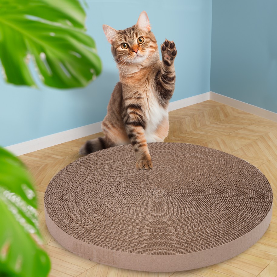 Kissan raapimispuun vaihdettava sisäosa – pyöreä, suuri, ekologinen pahvi