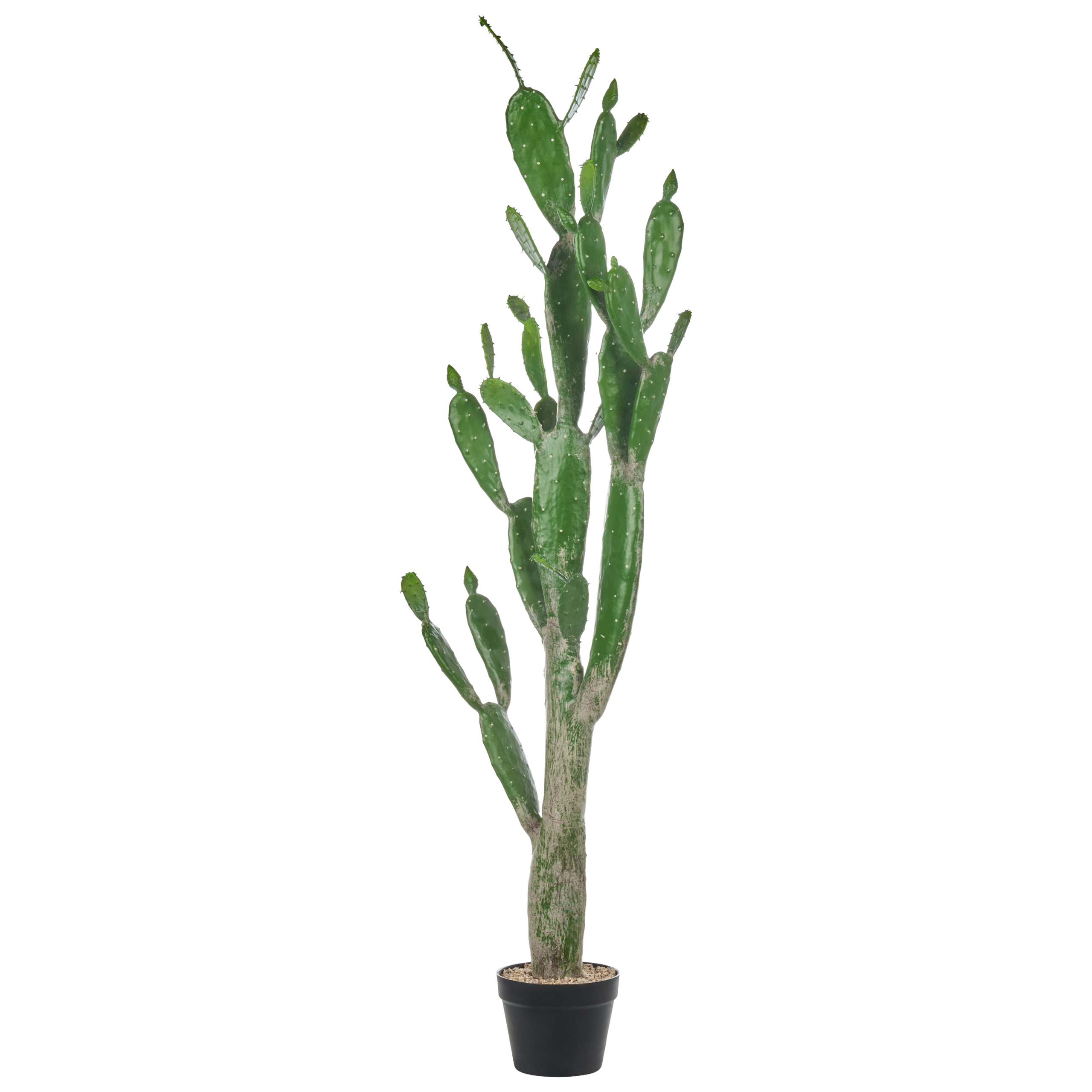 Tekokasvi OPUNTIA CACTUS 150 cm Vihreä