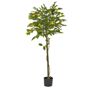 Tekokasvi LEMON TREE 156 cm Vihreä