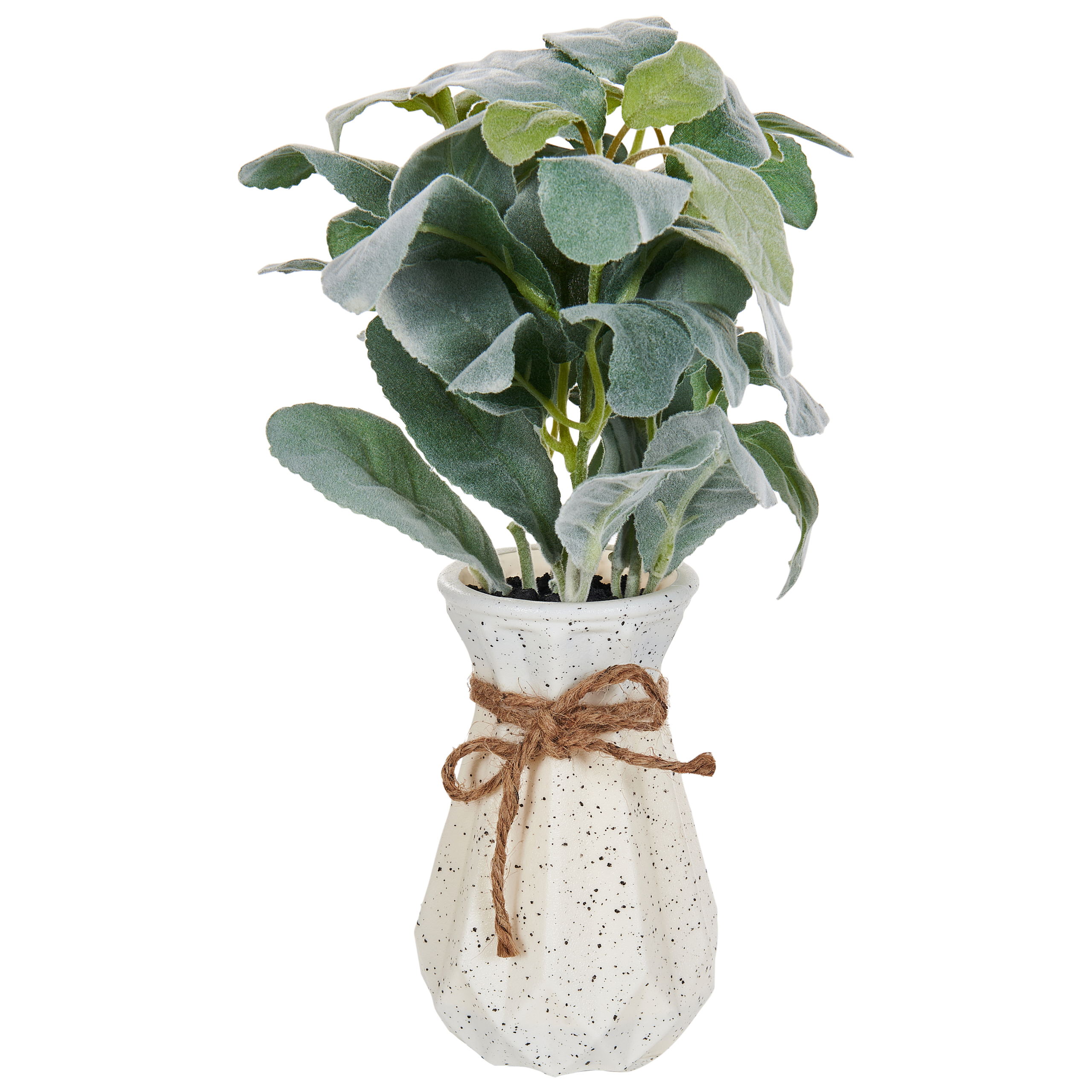 Tekokasvi PEPEROMIA ARGYREIA 30 cm Vihreä