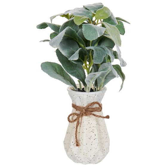 Tekokasvi PEPEROMIA ARGYREIA 30 cm Vihreä