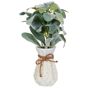Tekokasvi PEPEROMIA ARGYREIA 30 cm Vihreä