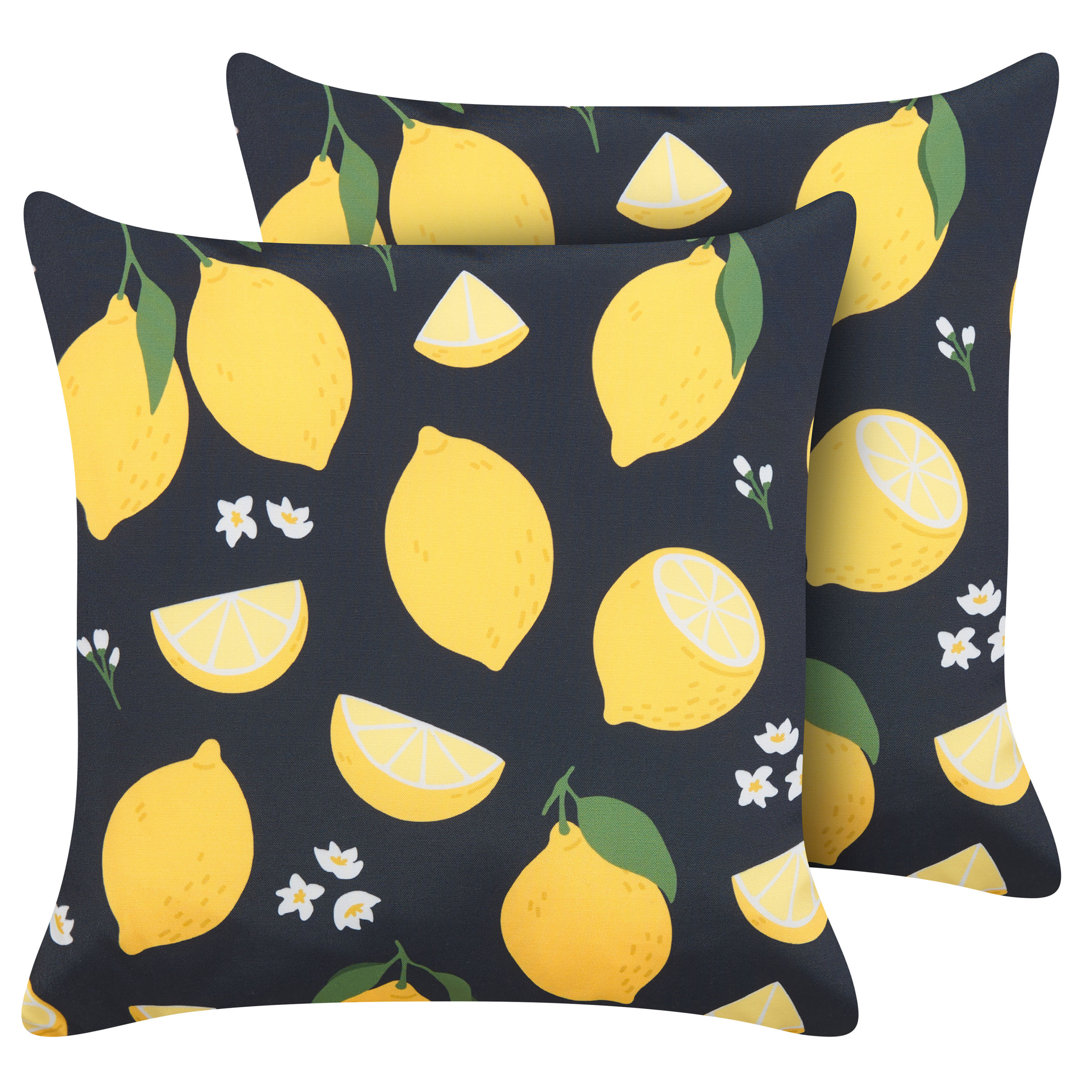 Koristetyynysetti 2 kpl CITRUS 45 x 45 cm Musta Kasvikuvio