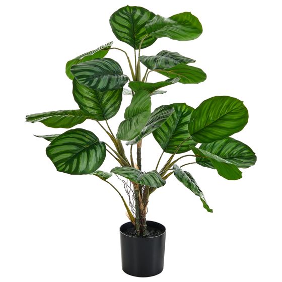 Tekokasvi CALATHEA 78 cm Vihreä