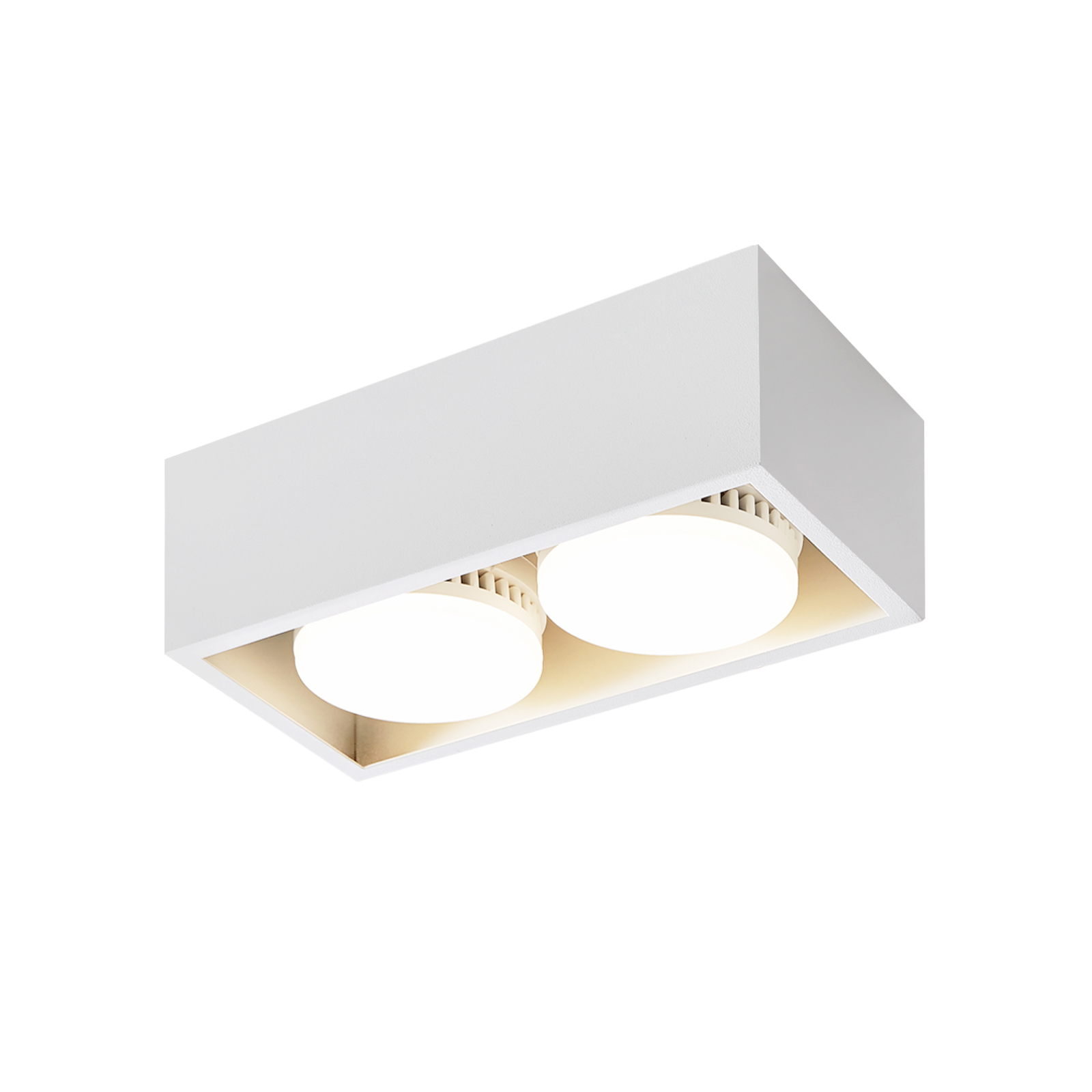 NETTLIFE 2 LED-pinta-asennettava kattokohdevalaisin, lämmin valkoinen, säädettävä GX53