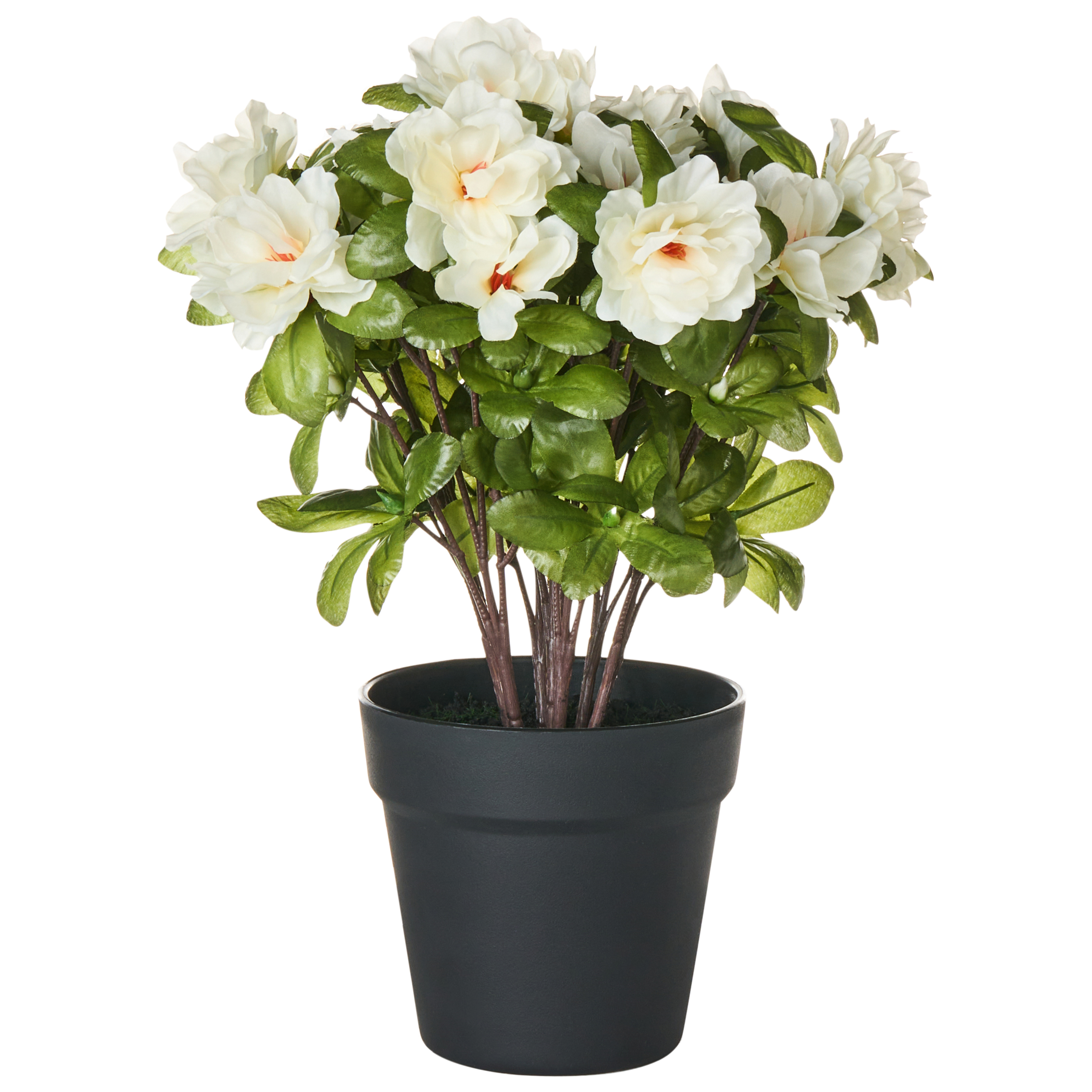 Tekokasvi NOVELLA 36 cm Valkoinen