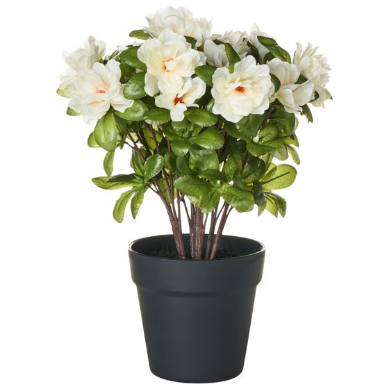 Tekokasvi NOVELLA 36 cm Valkoinen