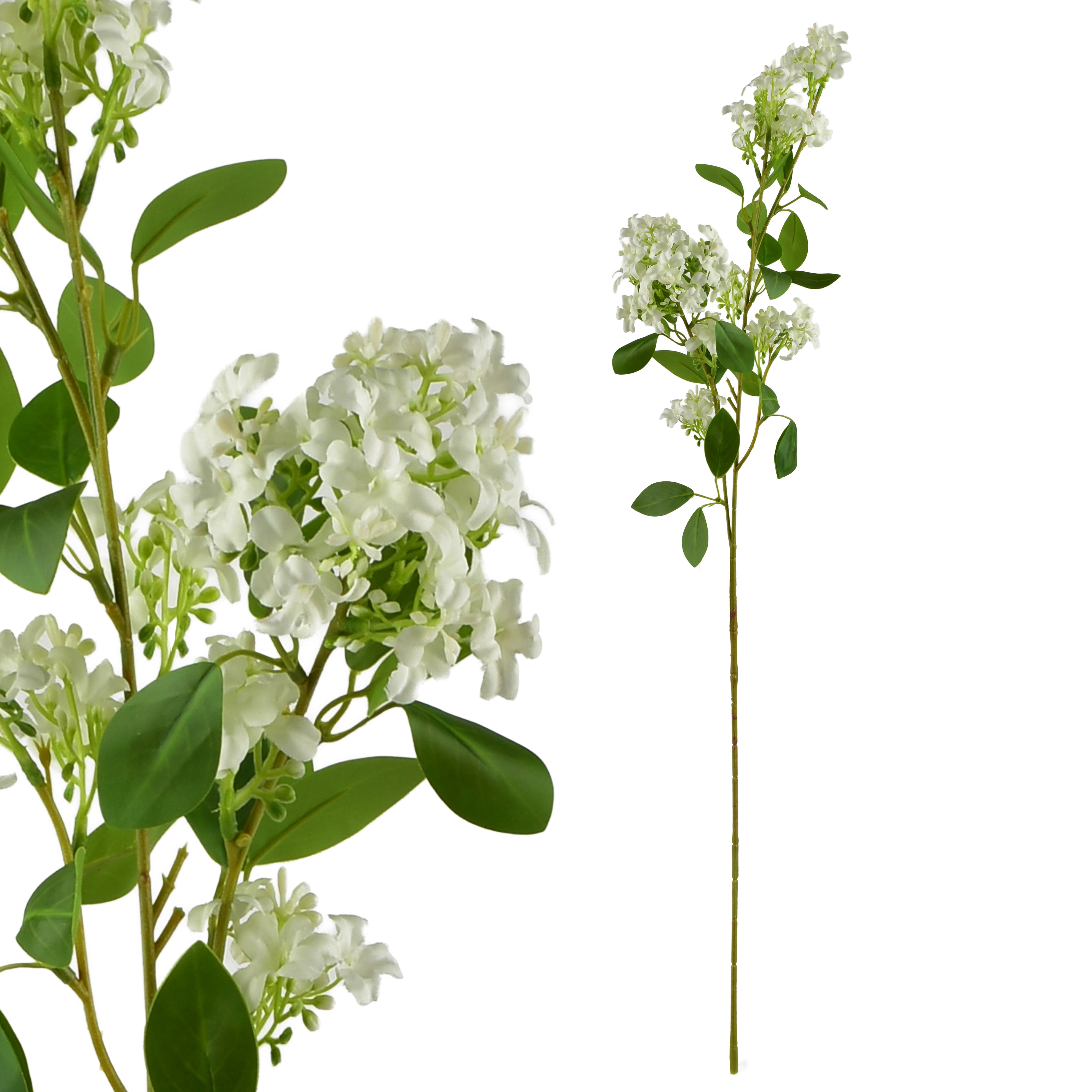 Kukkiva oksa Prima MONDEX Viridis 80 cm 1 kpl