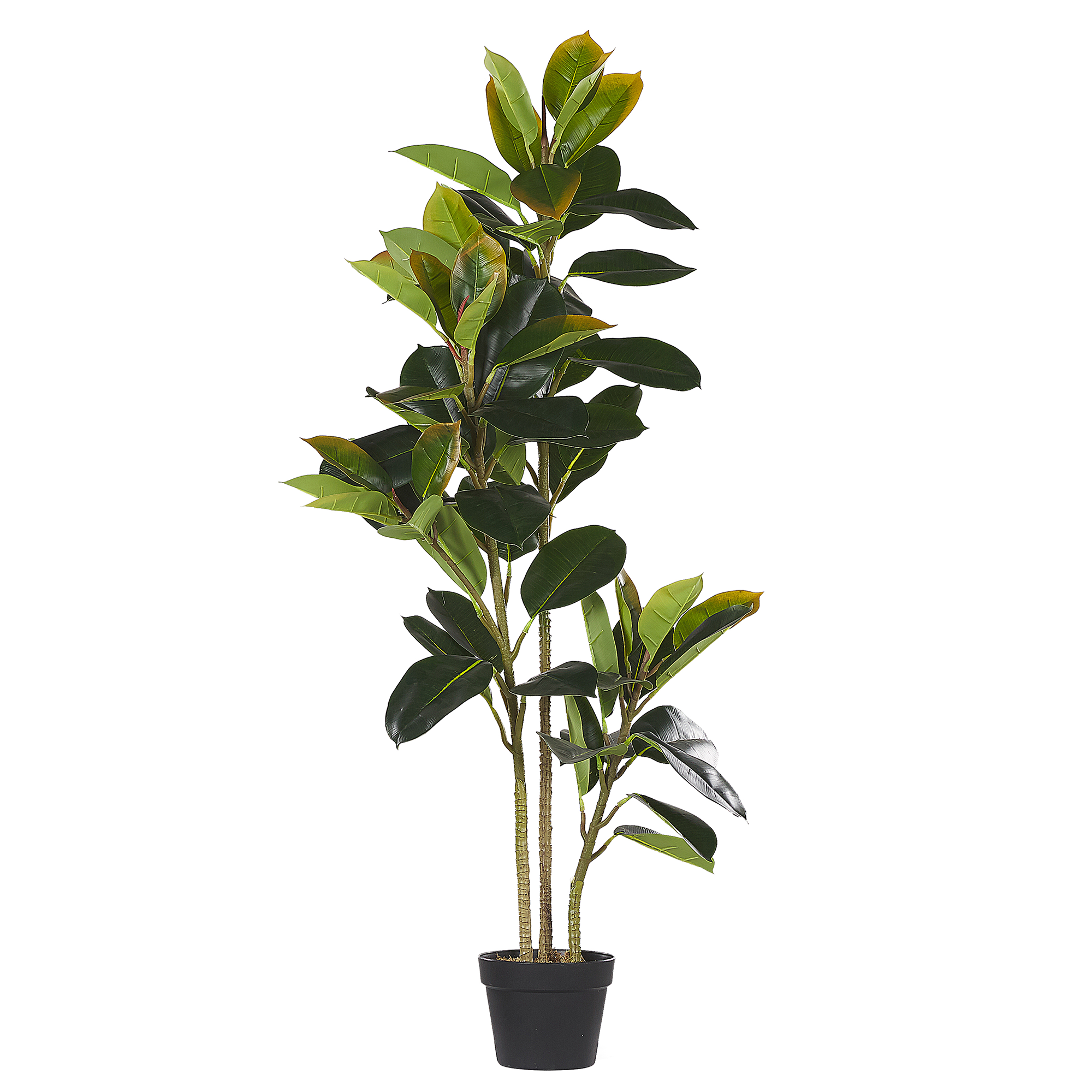 Tekokasvi FICUS ELASTICA 134 cm Vihreä