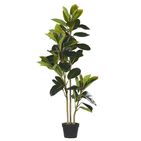 Tekokasvi FICUS ELASTICA 134 cm Vihreä