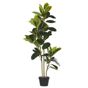 Tekokasvi FICUS ELASTICA 134 cm Vihreä